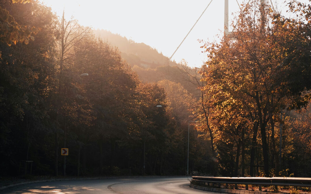 What Does Motor Truck Cargo Insurance Actually Cover?